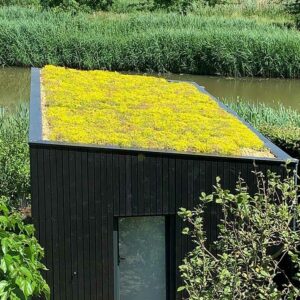 Tuinkantoor met sedum GardenPod