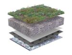 sedum kruiden aroma pakket sedumdak sedum