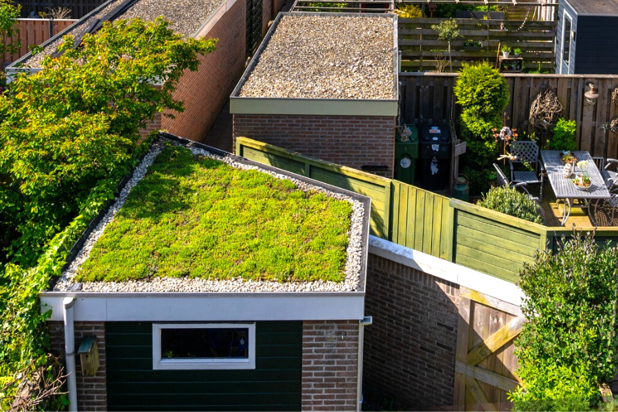 groen dak op schuur