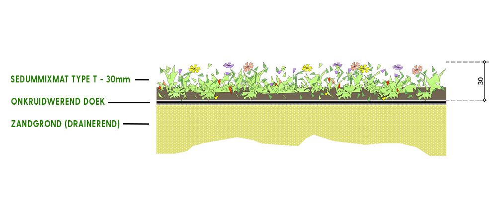 Sedum op zandgrond drainerend bodembedekker