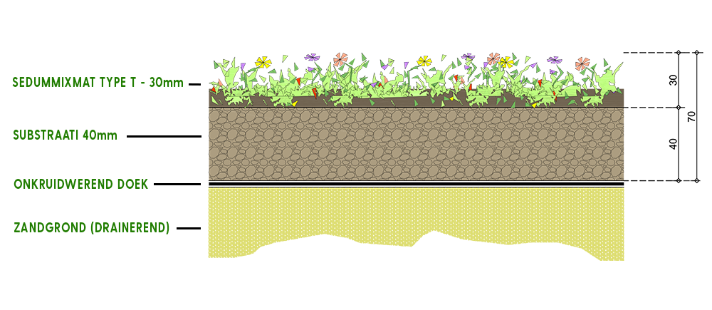 Sedum op zandgrond drainerend +substraat bodembedekker