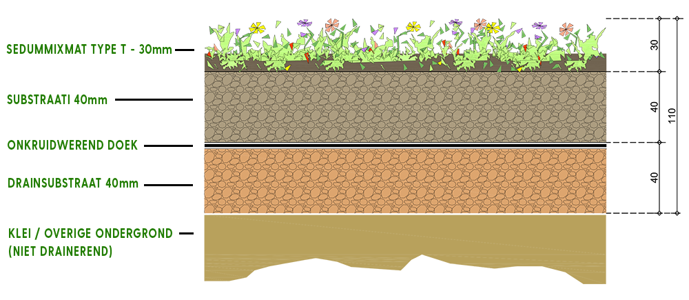 Sedum op zandgrond NIET drainerend bodembedekker