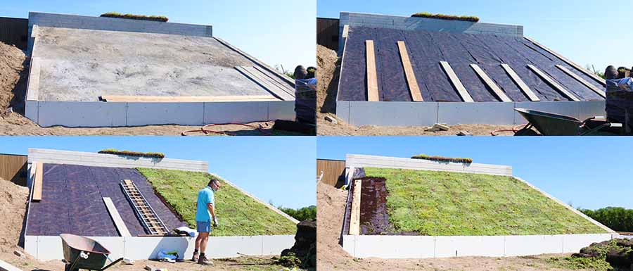 Stappenplan sedum bodembedekking in de tuin op een talud