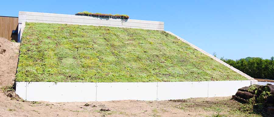 Talud met sedum planten 45 graden