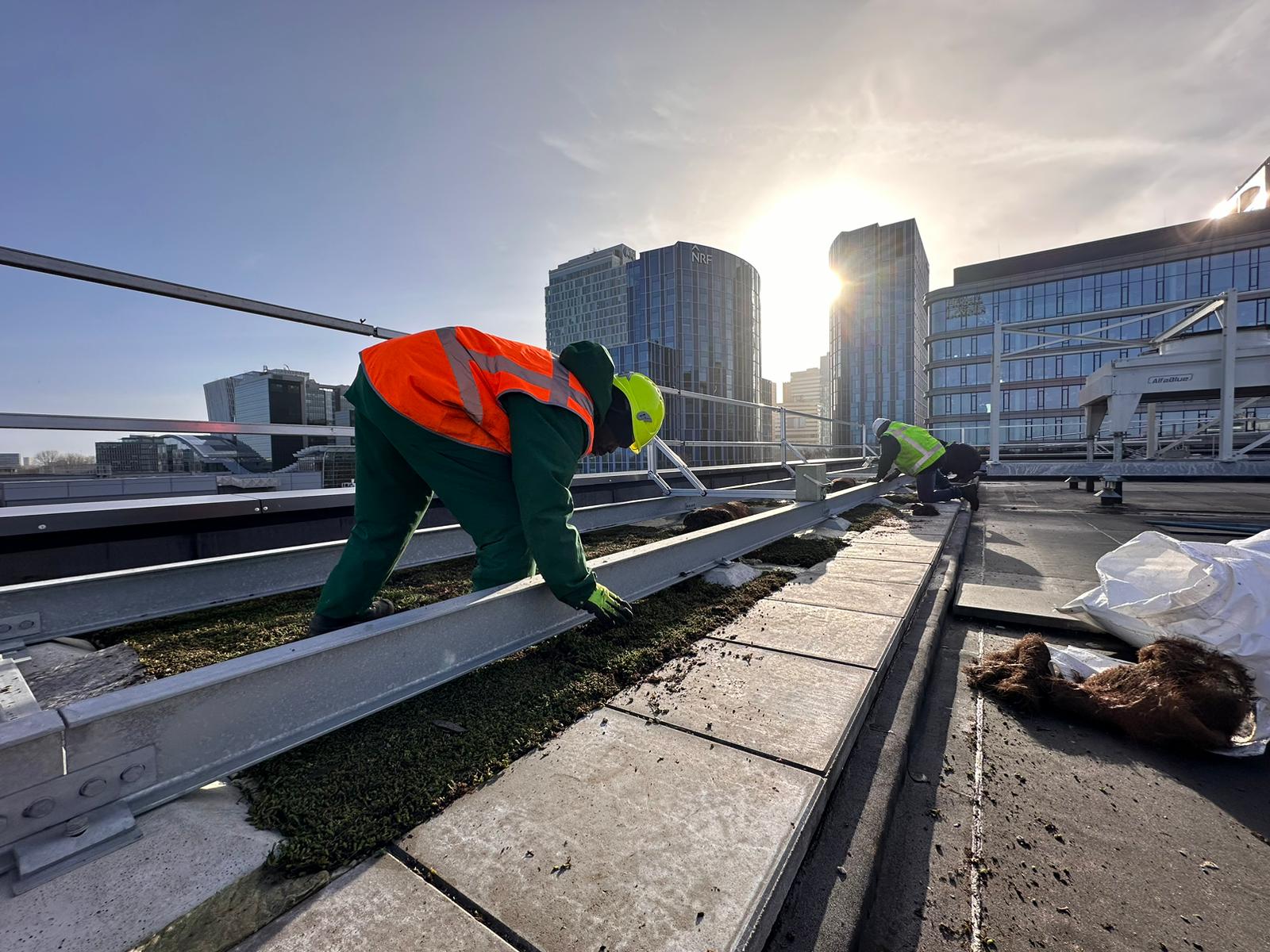 Projecten zakelijke sedum