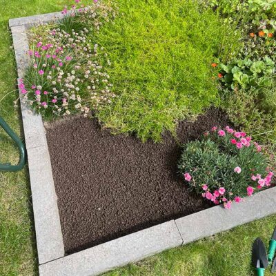 Reservebank sedum blog